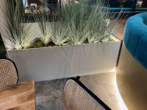 Fogon_de_Mariana_01