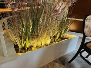 Fogon_de_Mariana_07