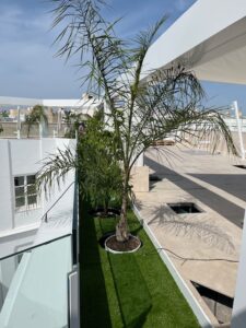 Terraza EDF Fundación Unicaja Cádiz