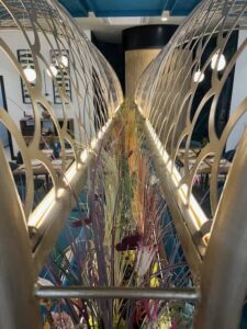 Fogón de Mariana en Jerez de la Frontera